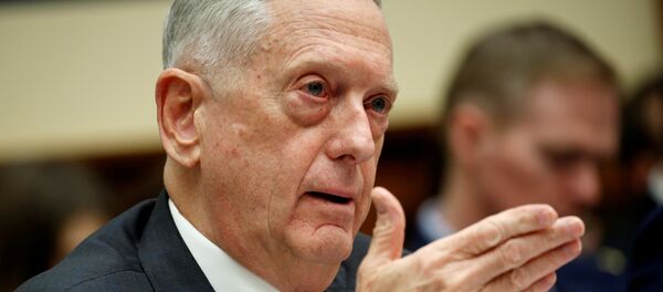 ماتيس - سبوتنيك عربي