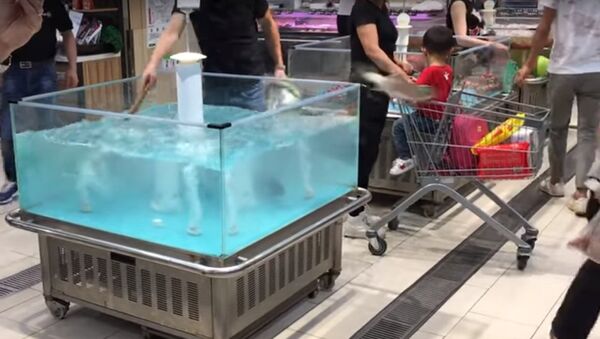 سمكة تقفز في عربة تسوق في الصين - سبوتنيك عربي