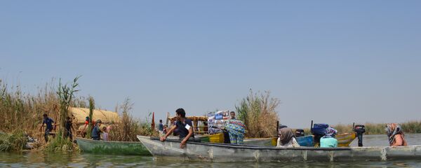 الأهوار - سبوتنيك عربي