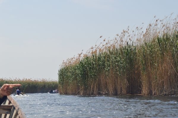 الأهوار الأهوار - سبوتنيك عربي
