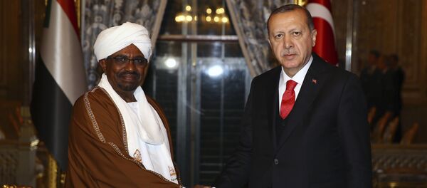 الرئيس التركي رجب طيب أردوغان خلال اللقاء مع الرئيس السوداني عمر البشير - سبوتنيك عربي