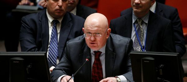 نيبينزيا - سبوتنيك عربي