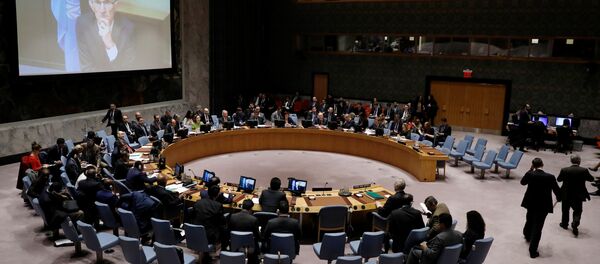 مجلس الأمن - سبوتنيك عربي