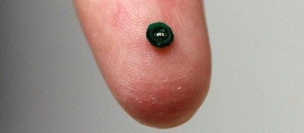 الاختراع الضوئي لوشيولا في حجم حشرة الخنفساء المضيئة - سبوتنيك عربي