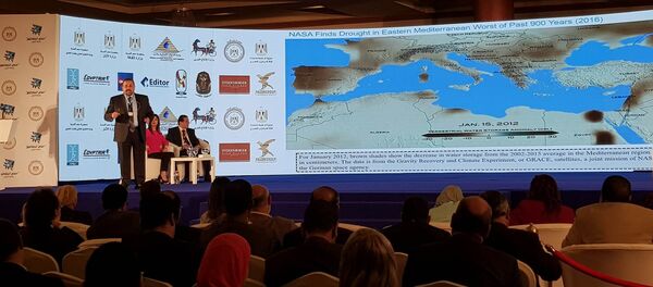 العالم المصري الدكتور هشام العسكري في الأقصر في 26 فبراير / شباط 2018 - سبوتنيك عربي