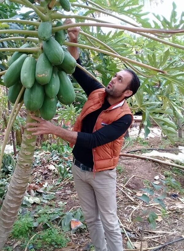 شاب سوري يؤسس مزرعة استوائية في سوريا - سبوتنيك عربي