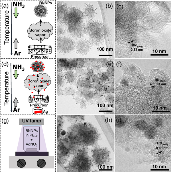 العلماء يصممون جزيئات نانوية هجينة ضد السرطان والبكتيريا - سبوتنيك عربي