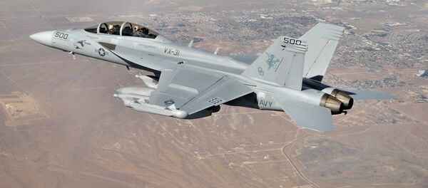 الطائرة الحربية الأمريكية EA-18G - سبوتنيك عربي