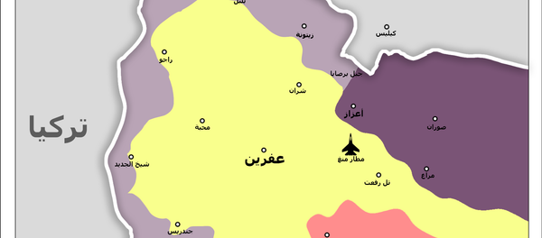 عملية غصن الزيتون التركية في سوريا - سبوتنيك عربي