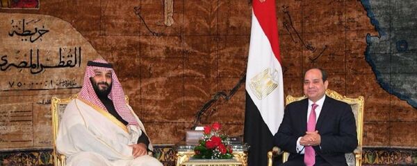 الرئيس السيسي يستقبل ولي العهد السعودي محمد بن سلمان - سبوتنيك عربي