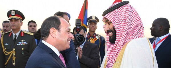 الرئيس السيسي يستقل ولي العهد محمد بن سلمان - سبوتنيك عربي