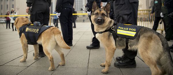 افتتاح للجلسة الأولى للمؤتمر الـ 13 للحزب الشيوعي في بكين، الصين  5 مارس/ أذار 2018 - سبوتنيك عربي
