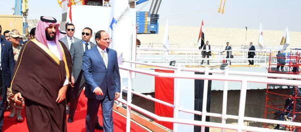 ولي العهد السعودي محمد بن سلمان والرئيس المصري عبد الفتاح السيسي - سبوتنيك عربي