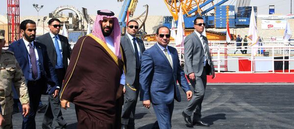الرئيس السيسي وولي عهد السعودية محمد بن سلمان - سبوتنيك عربي