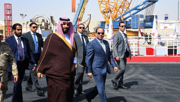 الرئيس السيسي وولي عهد السعودية محمد بن سلمان - سبوتنيك عربي