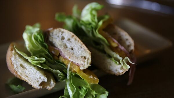 ساندوتش ساندوتش - سبوتنيك عربي