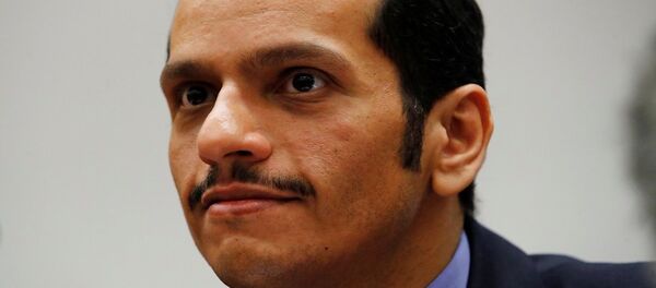 وزير خاريجة قطر الشيخ محمد بن عبد الرحمن آل ثاني وزير خاريجة قطر الشيخ محمد بن عبد الرحمن آل ثاني - سبوتنيك عربي