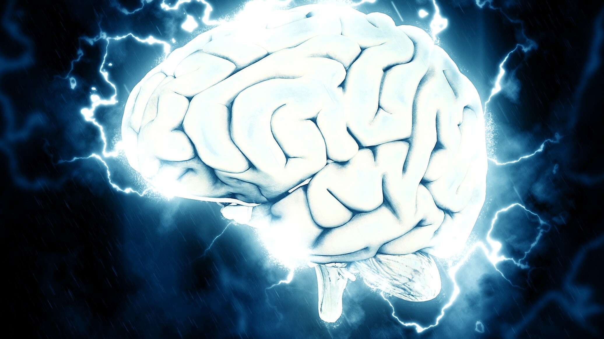 فتح الصندوق الأسود للدماغ... علماء يكتشفون توصيلات مميزة للذاكرة البشرية