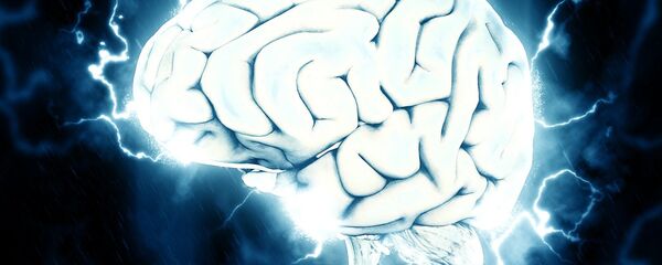 الدماغ - سبوتنيك عربي