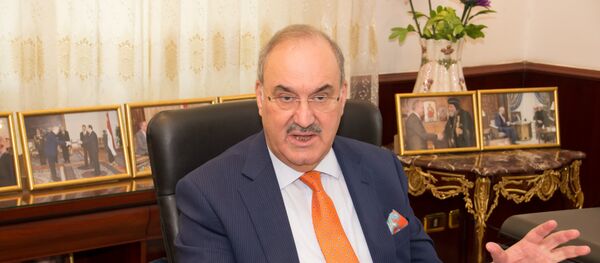 السفير العراقي في مصر حبيب الصدر - سبوتنيك عربي