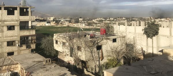 الغوطة الشرقية، سوريا - سبوتنيك عربي