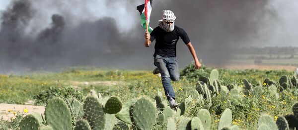 شاب فلسطيني يعبر حقلا من الصبار أثناء الاشتباكات مع القوات الإسرائيلية بالقرب من خان يونس، على الحدود قطاع غزة وإسرائيل، 9 مارس/ آذار 2018 شاب فلسطيني يعبر حقلا من الصبار أثناء الاشتباكات مع القوات الإسرائيلية بالقرب من خان يونس، على الحدود قطاع غزة وإسرائيل، 9 مارس/ آذار 2018 - سبوتنيك عربي