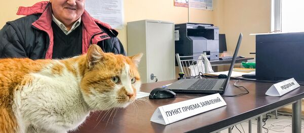 مركز للانتخابات الرئاسية الروسية مركز للانتخابات الرئاسية الروسية - سبوتنيك عربي