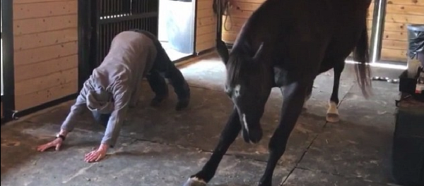 حصان يمارس اليوغا مع صاحبته - سبوتنيك عربي