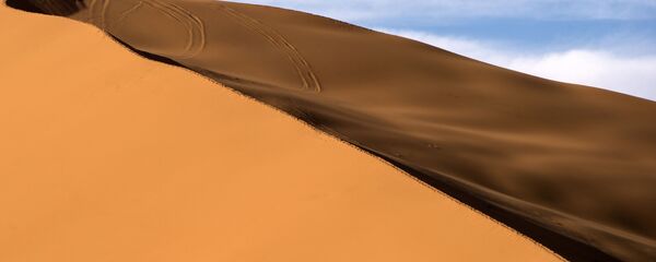 صحراء - سبوتنيك عربي