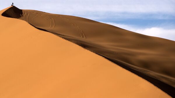 صحراء - سبوتنيك عربي