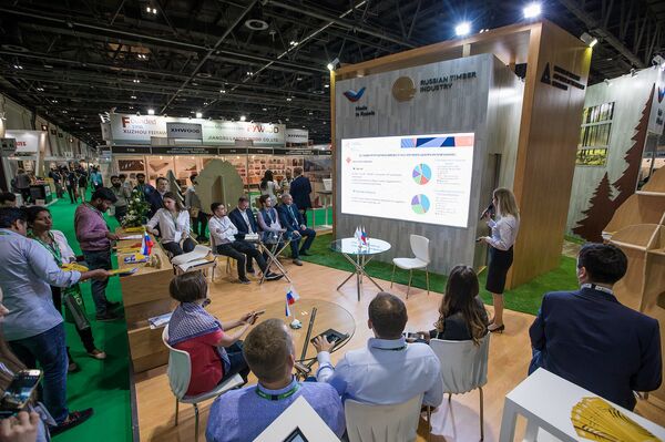 ناقشت روسيا والإمارات العربية المتحدة آفاق تصدير منتجات صناعة الأخشاب الروسية - سبوتنيك عربي