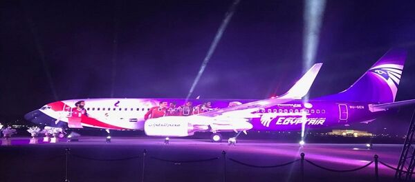 طائرة المنتخب المصري لكرة القدم - سبوتنيك عربي