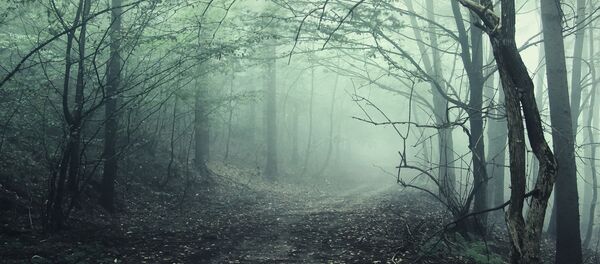 غابة هويا-باكيو في ترانسيلفانيا، رومانيا. أو غابة مثلث برمودا، كما يسميها المحليون. إذ أن كل من يتوجه إلى الغابة يشكو من آلام في الجسد، ويشعر بالغثيان والتقيؤ، والصداع المصفي، وتصيبه الخدوش والحروق. - سبوتنيك عربي