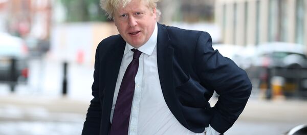 جونسون - سبوتنيك عربي