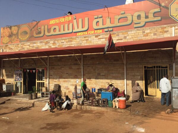 عوضية - سبوتنيك عربي