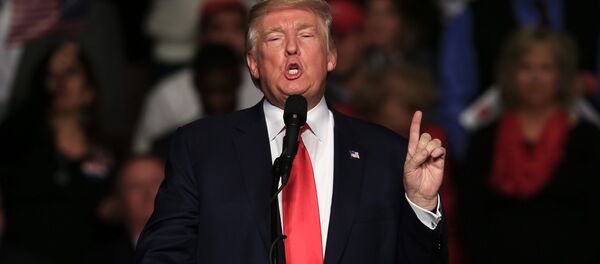 رئيس الولايات المتحدة الأمريكية دونالد ترامب - سبوتنيك عربي