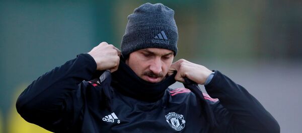 زلاتان إبراهيموفيتش - سبوتنيك عربي