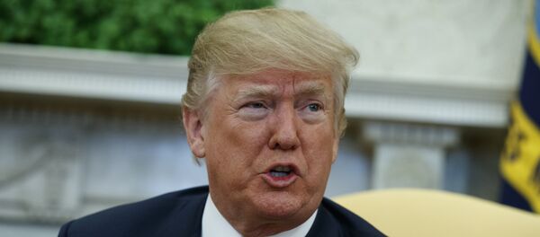 الرئيس الأمريكي دونالد ترامب - سبوتنيك عربي