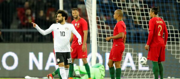 مصر والبرتغال - سبوتنيك عربي