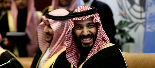 محمد بن سلمان - سبوتنيك عربي