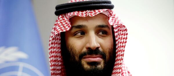 محمد بن سلمان - سبوتنيك عربي