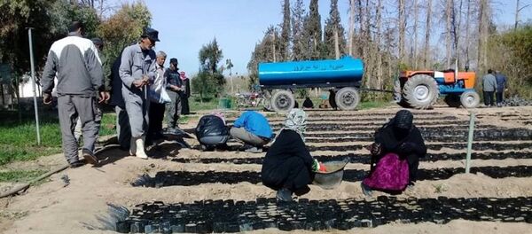 الزراعة في ريف دير الزور الغربي - سبوتنيك عربي