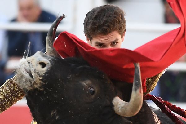 مصارع الثيران الإسباني جينس مارين خلال عرض فيريا دو ريز في أرليز، جنوبي فرنسا 1 أبريل/ نيسان 2018 - سبوتنيك عربي