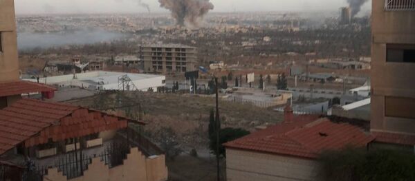 دوما - سبوتنيك عربي