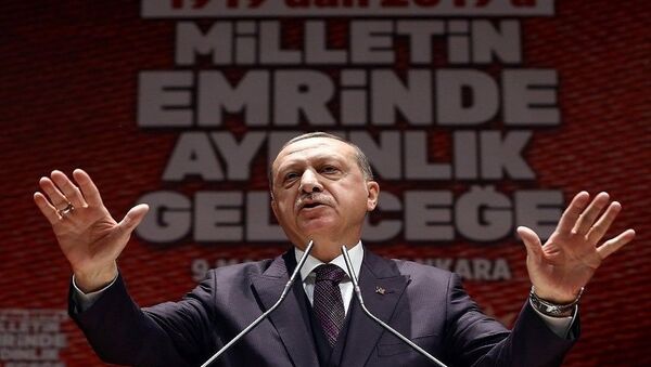 رجب طيب أردوغان - سبوتنيك عربي