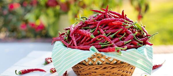 فلفل حار فلفل حار - سبوتنيك عربي