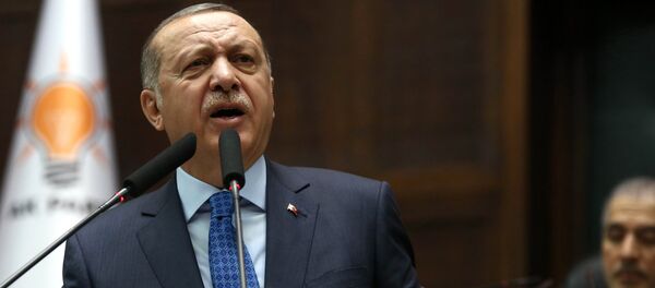 الرئيس التركي رجب طيب أردوغان - سبوتنيك عربي