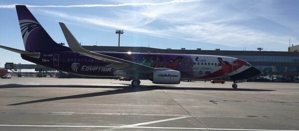 طائرة مصر للطيران في موسكو - سبوتنيك عربي