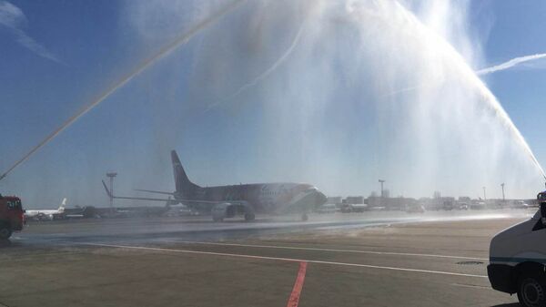 طائرة مصر للطيران في موسكو - سبوتنيك عربي