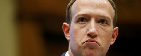 مؤسس شركة فيسبوك مارك زوكربرغ - سبوتنيك عربي